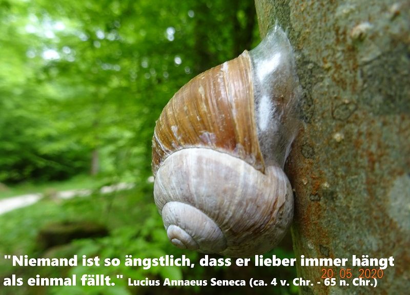 Wollen wir ewig dahinvegetieren oder mit normalem Risiko leben?