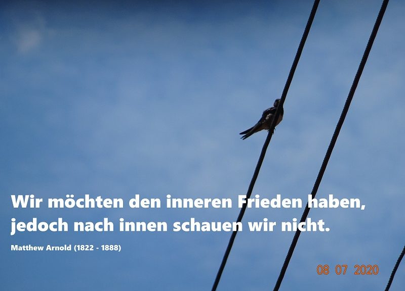 Frieden im Außen erhalten wir nur durch Inneren Frieden beim einzelnen Menschen!