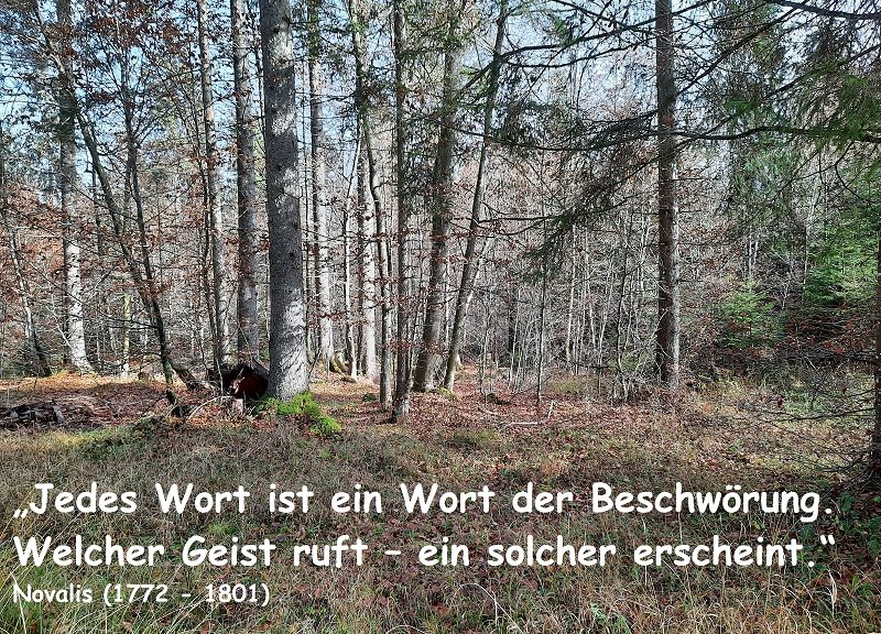 Mit Ihren Worten gestalten Sie Ihre Zukunft?!